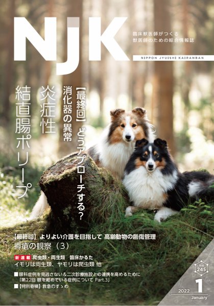 NJK Vol.245 (発売日2022年01月01日) 表紙