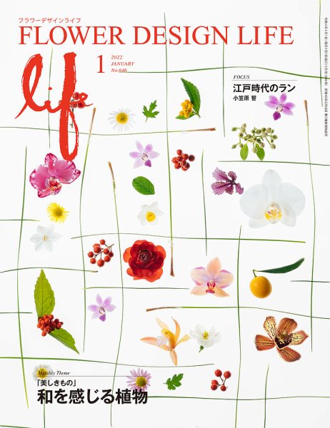 フラワーデザインライフ 2022年1月号 (発売日2022年01月01日) 表紙