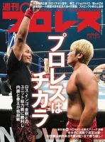 最安値 プロレス 雑誌セット 2022年版1月から12月までの54冊