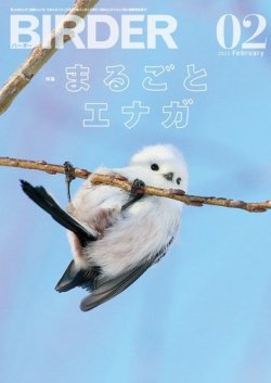 BIRDER（バーダー） 2022年2月号 (発売日2022年01月15日) 表紙