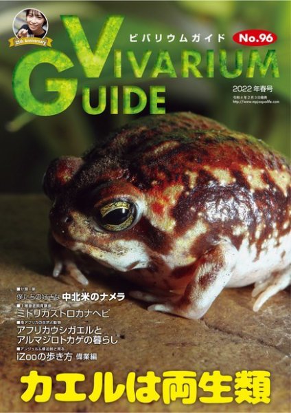 ビバリウムガイド 96号 (発売日2022年02月03日) 表紙