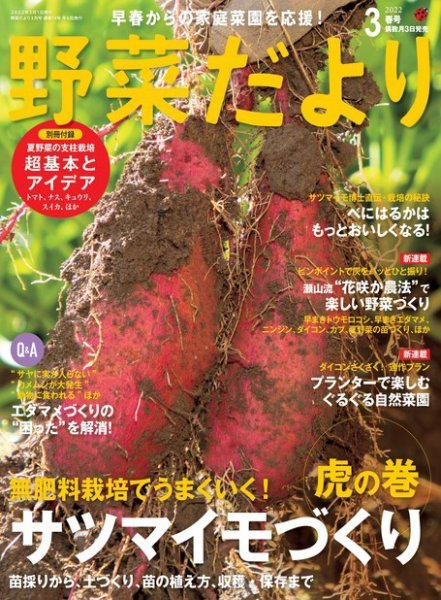野菜だより 2022年3月号 (発売日2022年02月03日) 表紙