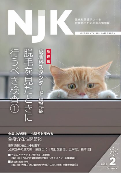 NJK Vol.246 (発売日2022年02月01日) 表紙
