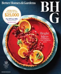 Better Homes&Gardens(ベターホームズアンドガーデンズ) November 2022 (発売日2022年10月15日) 表紙