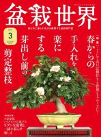 2008年6月　盆栽世界 ｜クサボケ特集｜名石・銘木の世界｜盆栽管理法 2008年6月 盆栽世界 ｜クサボケ特集｜名石・銘木の世界｜盆栽