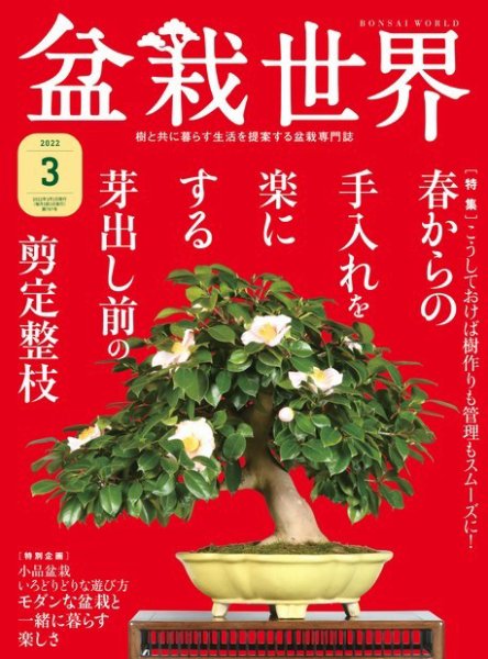 盆栽世界 2022年3月号 (発売日2022年02月04日) 表紙