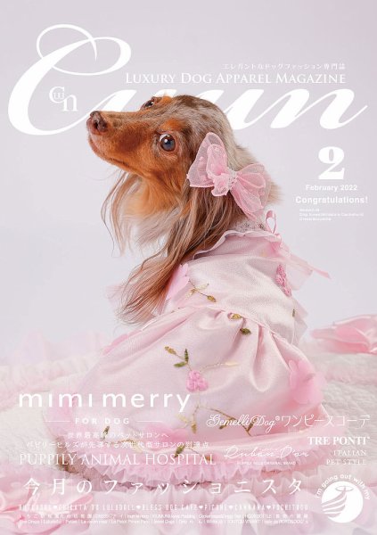Cuun（クーン） 2022年2月号 (発売日2022年02月10日) 表紙