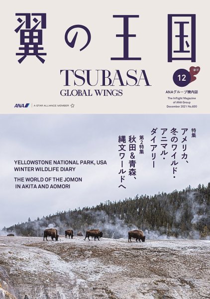 翼の王国・TSUBASA －GLOBAL WINGS－ 2021年12月号 (発売日2021年12月01日) 表紙