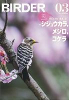 BIRDER（バーダー） 2022年3月号 表紙