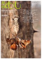 月刊むし 613 表紙