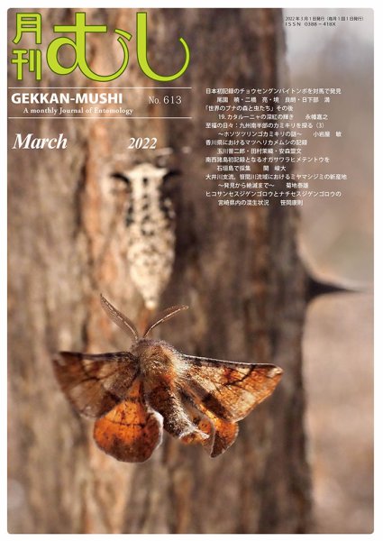 月刊むし 613 (発売日2022年02月20日) 表紙