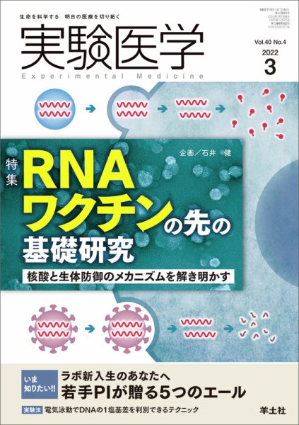 実験医学 Vol.40No.4 (発売日2022年02月20日) 表紙