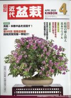 月刊 近代盆栽 2022年4月号 表紙