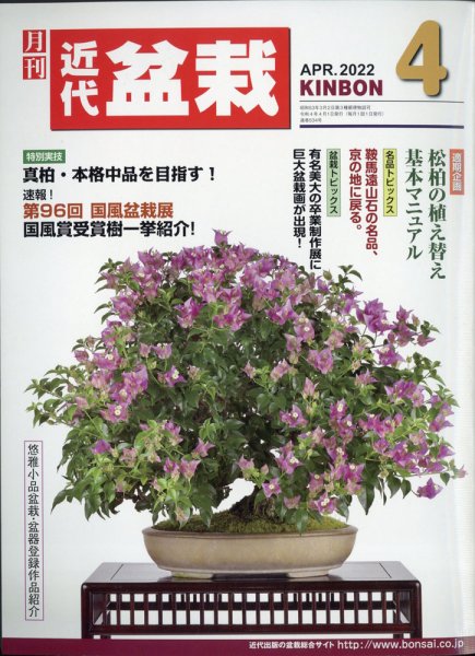 月刊 近代盆栽 2022年4月号 (発売日2022年03月03日) 表紙