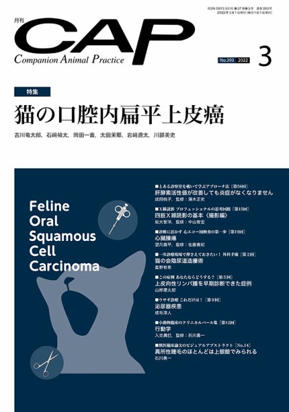 月刊CAP 2022年3月号 (発売日2022年03月01日) 表紙