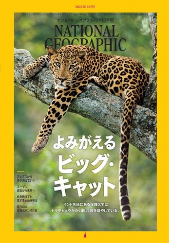 ナショナル  ジオグラフィック（National Geographic）