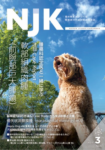 NJK Vol.247 (発売日2022年03月01日) 表紙