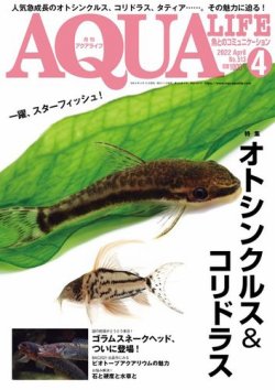 アクアライフの最新号 4月号 発売日22年03月10日 雑誌 電子書籍 定期購読の予約はfujisan
