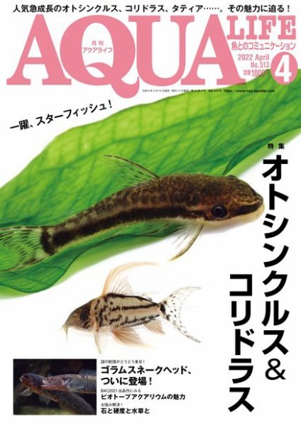 アクアライフ 4月号 (発売日2022年03月10日) 表紙