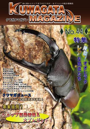 くわがたマガジン No-1～26 クワガタ飼育 - 趣味/スポーツ