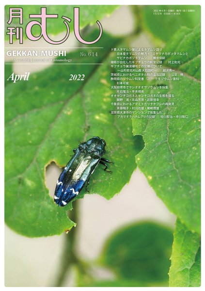 月刊むし 614 (発売日2022年03月20日) 表紙