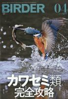 BIRDER（バーダー） 2022年4月号 表紙