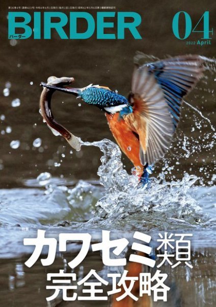 BIRDER（バーダー） 2022年4月号 (発売日2022年03月16日) 表紙