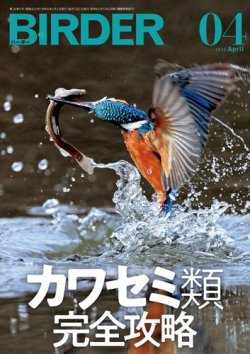 birder 雑誌 オファー