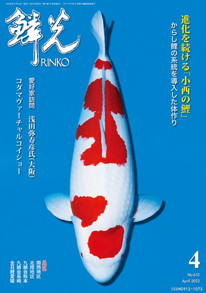 鱗光 2022年03月15日発売号 表紙
