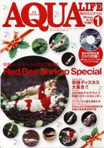 アクアライフ 1月号 (発売日2008年12月11日) 表紙