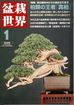 盆栽世界 1月号 (発売日2008年12月06日) | 雑誌/定期購読の予約はFujisan