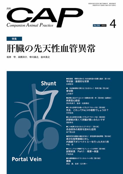 月刊CAP 2022年4月号 (発売日2022年04月01日) 表紙
