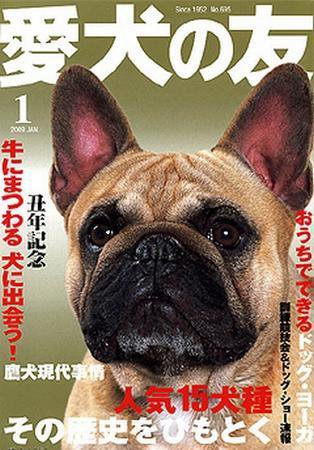 愛犬の友 1月号 (発売日2008年12月25日) 表紙