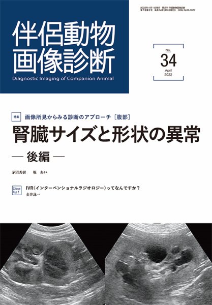 伴侶動物画像診断 第34号 (発売日2022年04月05日) 表紙