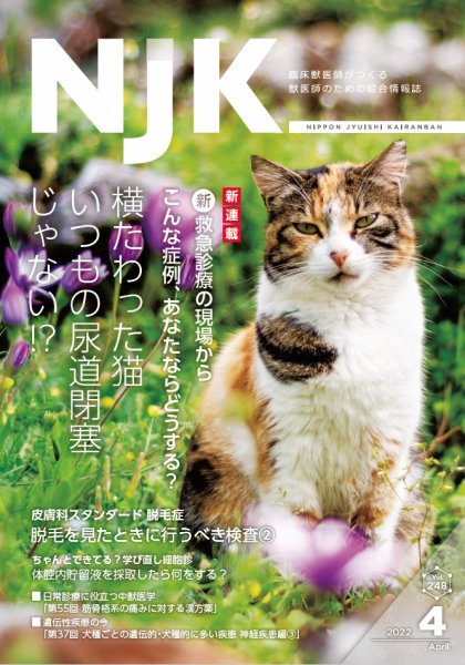 NJK Vol.248 (発売日2022年04月01日) 表紙