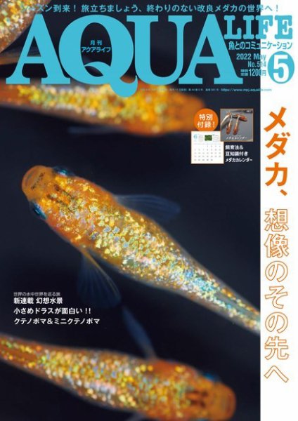 アクアライフ 5月号 (発売日2022年04月11日) 表紙