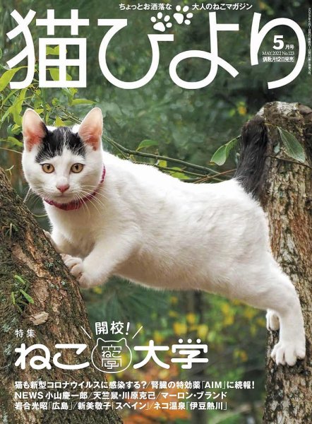 猫びより 猫びより vol.123 (発売日2022年04月12日) 表紙