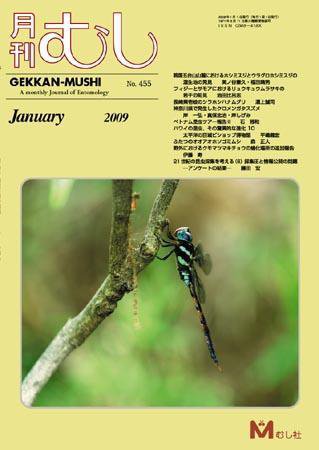 月刊むし 455 (発売日2008年12月20日) 表紙
