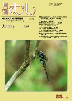 最新の「月刊むし」