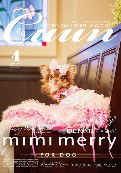 Cuun（クーン） 2022年4月号 (発売日2022年04月10日) 表紙