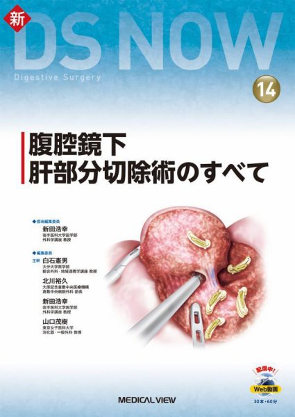 新DS NOW No.14 (発売日2022年05月28日) 表紙