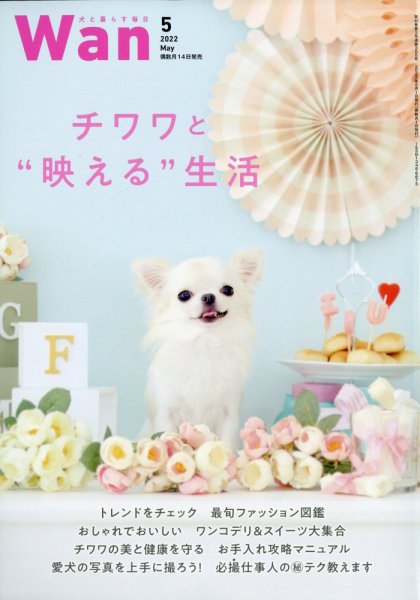 wan（わん） 2022年5月号 (発売日2022年04月14日) 表紙
