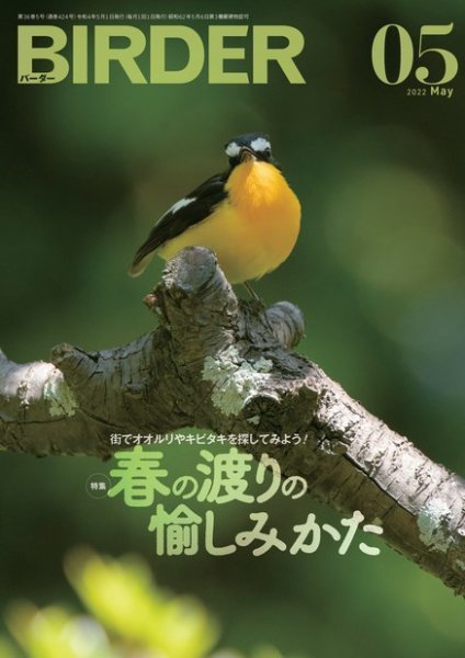 BIRDER（バーダー） 2022年5月号 (発売日2022年04月15日) 表紙