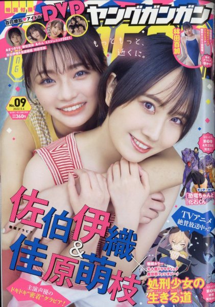 YOUNG GANGAN (ヤング・ガンガン) 2022年5/6号 (発売日2022年04月15日