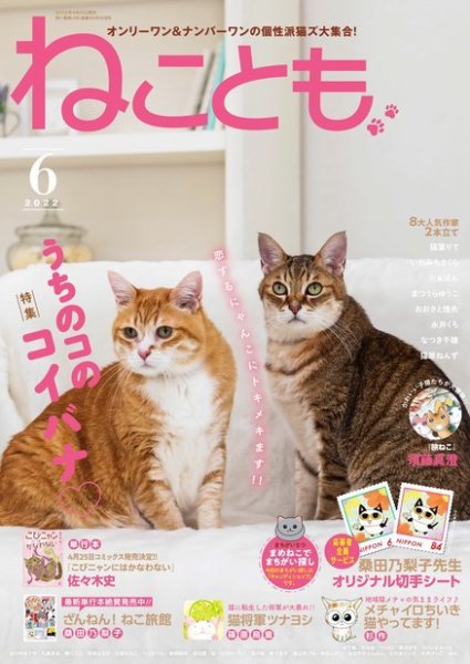 ねことも 2022年6月号 (発売日2022年04月15日) 表紙