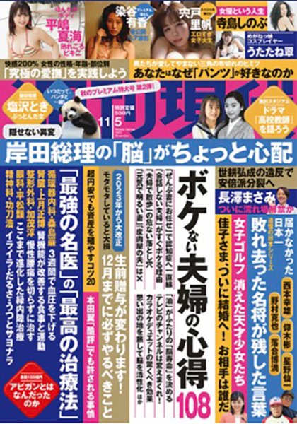週刊現代 2022年11/5号 (発売日2022年10月31日) 表紙