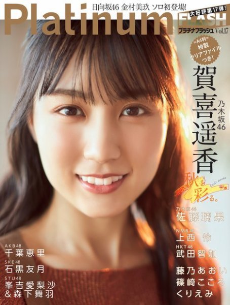 Platinum FLASH（プラチナフラッシュ） Vol.17 (発売日2021年10月28日) 表紙