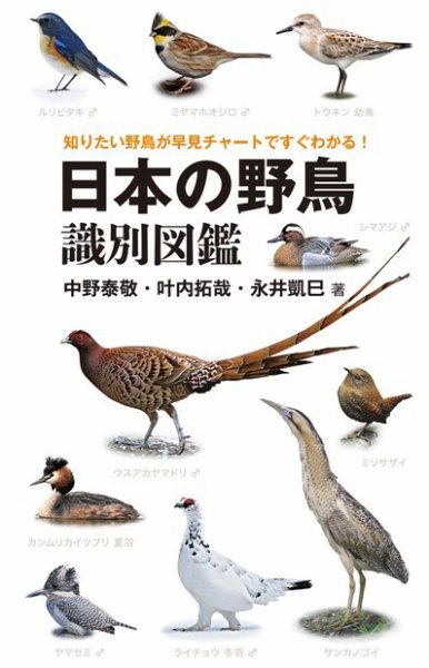 日本の野鳥識別図鑑 2016年03月10日発売号 表紙