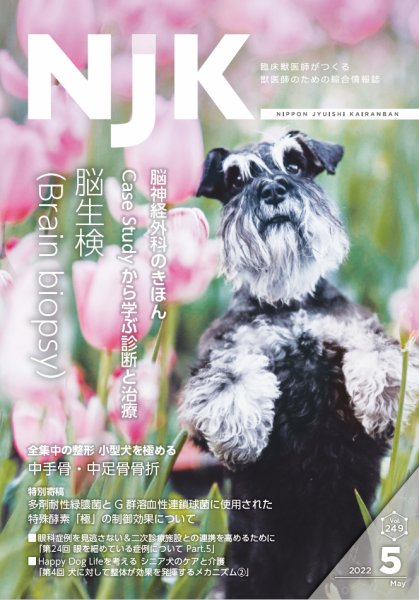 NJK Vol.249 (発売日2022年05月01日) 表紙