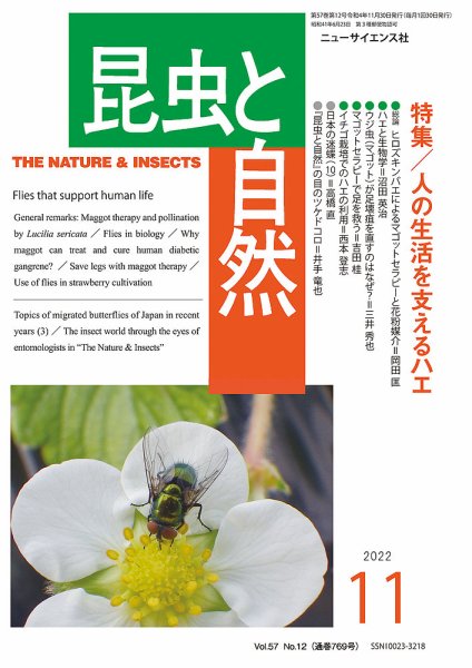 昆虫と自然 2022年11月号 (発売日2022年10月21日) 表紙